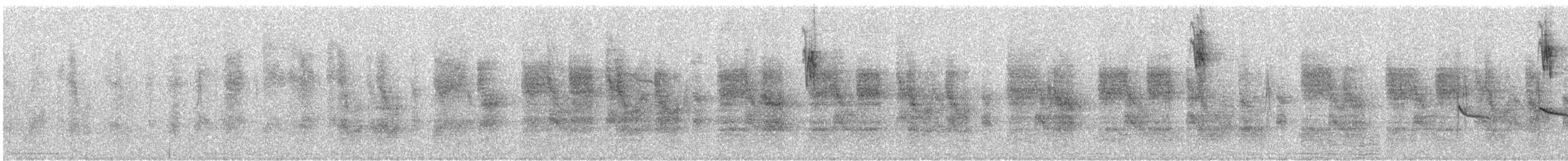 ヨコジマサボテンミソサザイ - ML643664049