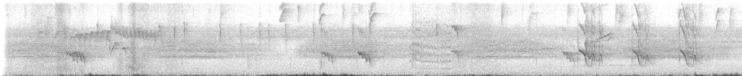 オオハシタイランチョウ - ML643664543