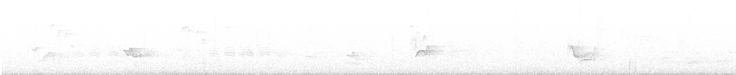 フタスジモズモドキ - ML643667770