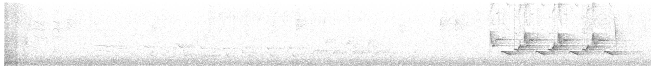 Каролинский крапивник - ML64366921