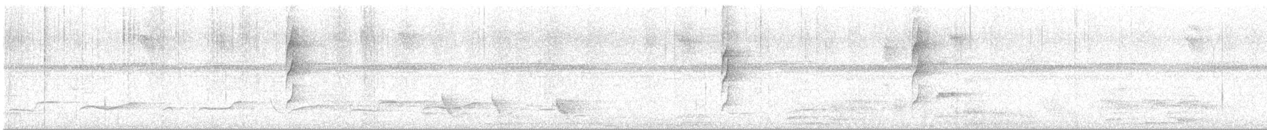 White-throated Spadebill - ML643670235