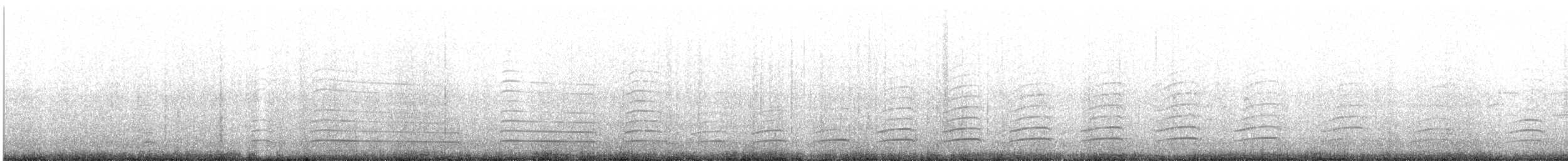 Belcher's Gull - ML643671446