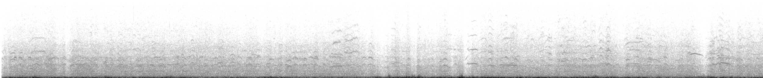 Andean Gull - ML643671481