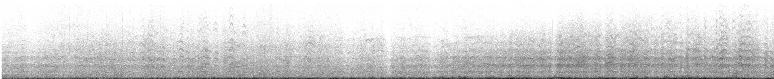 Andean Gull - ML643671482