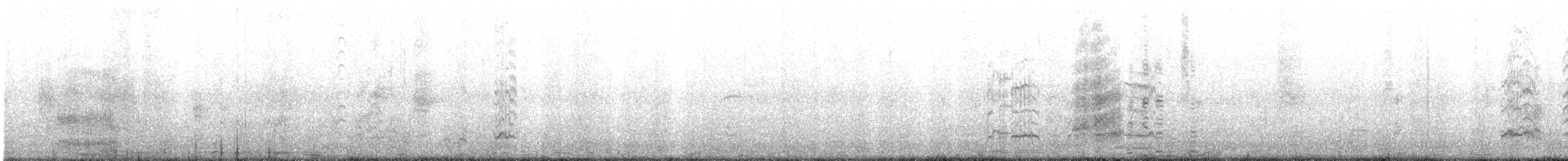 Andean Gull - ML643671485