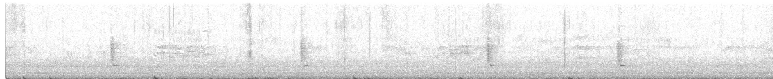 Northern Fantail - ML643671597