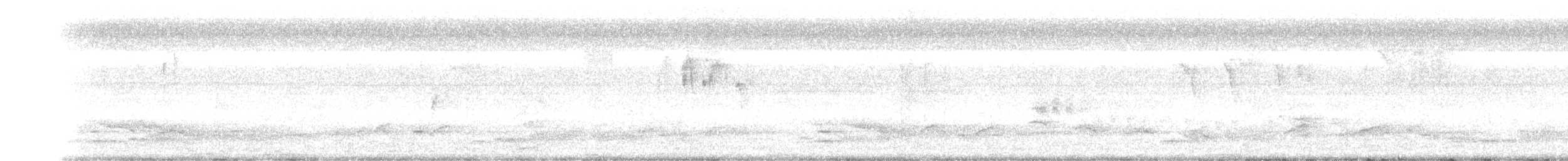 Sri Lanka Spurfowl - ML643674740