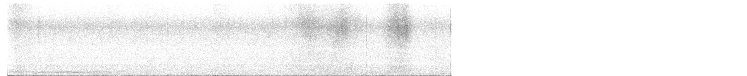 Barred Owl - ML643675284