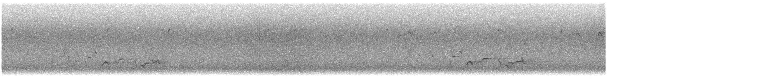 Kalifornientrupial - ML643675383