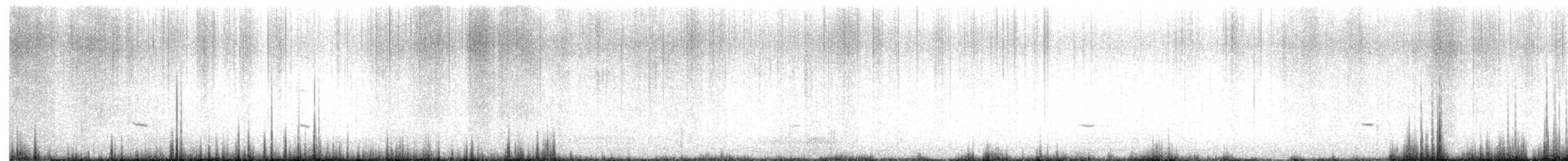 Townsend's Solitaire - ML643675461