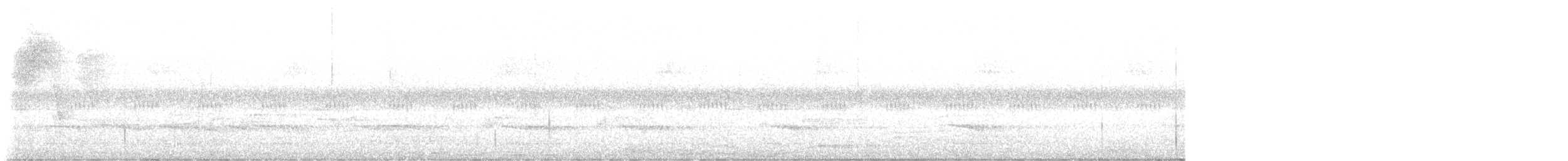 Brown Jay - ML643675686