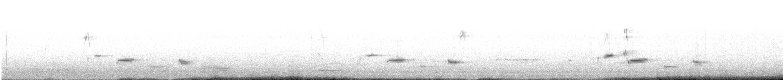 kosovec černohrdlý - ML643675798