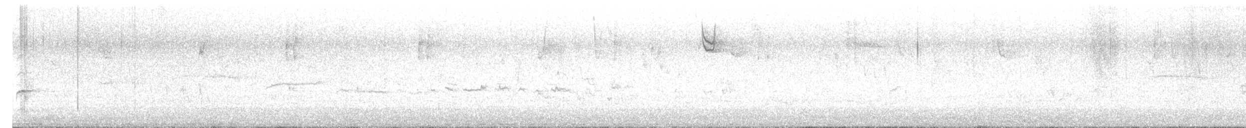 Purple Finch (Eastern) - ML643676247