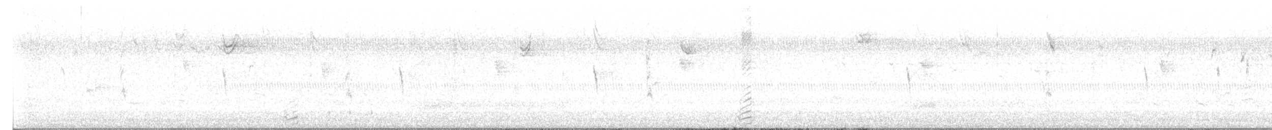 Sarcelle d'hiver (carolinensis) - ML643676285