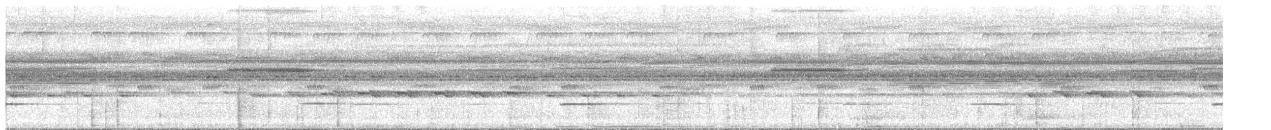 hoko noční - ML643676589