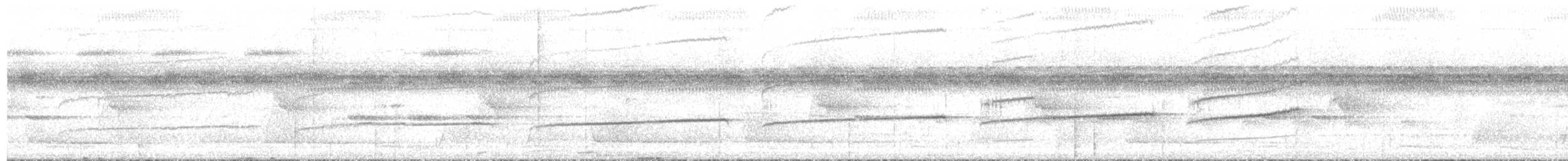 Common Scale-backed Antbird - ML643676655