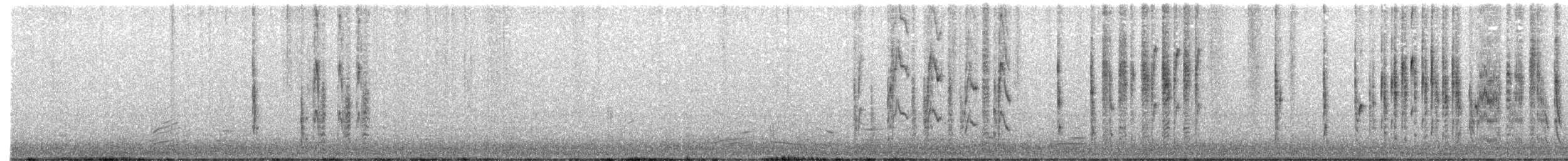 Marsh Wren - ML643677360