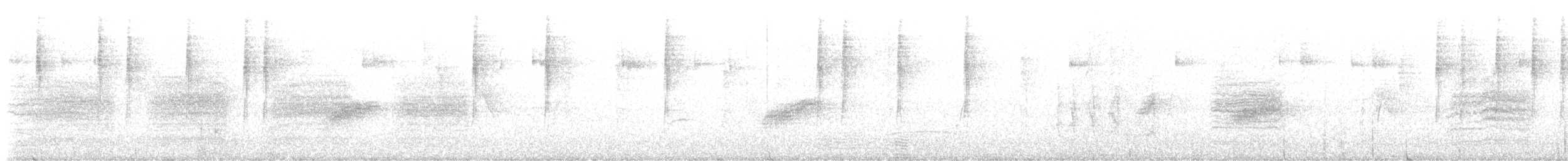 Пятнистый тохи - ML643677909