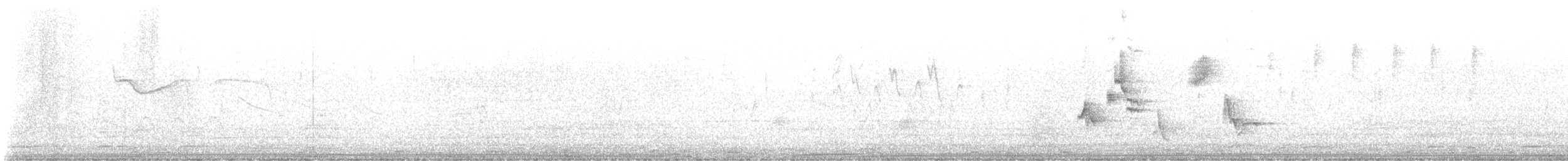 Orange-billed Nightingale-Thrush - ML643678333