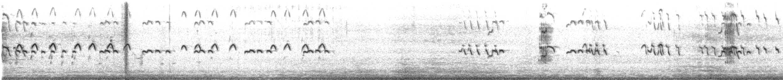 Royal Tern - ML643679069