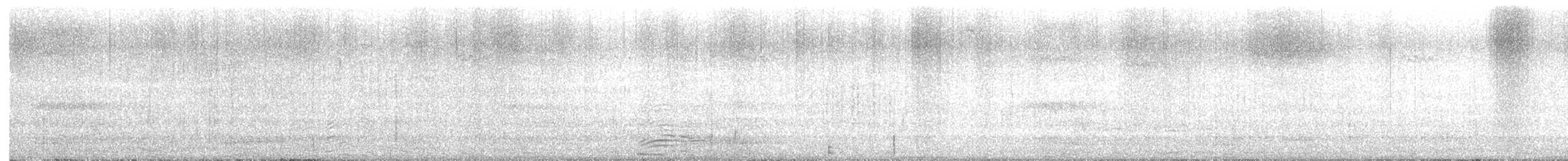 Brown Creeper - ML643679143