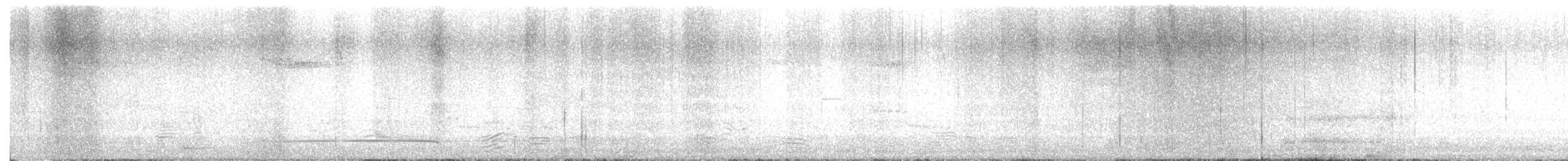 Brown Creeper - ML643679144