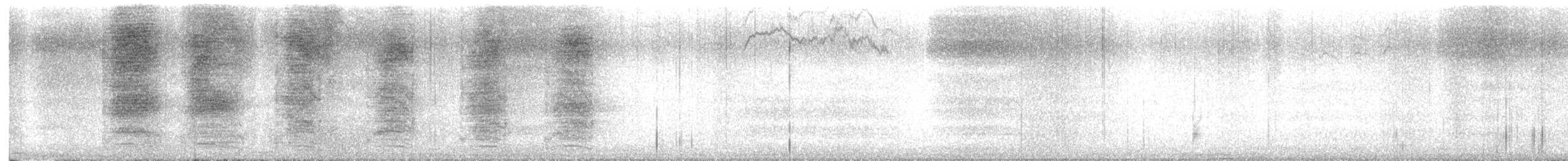 Chara de Steller - ML643679161