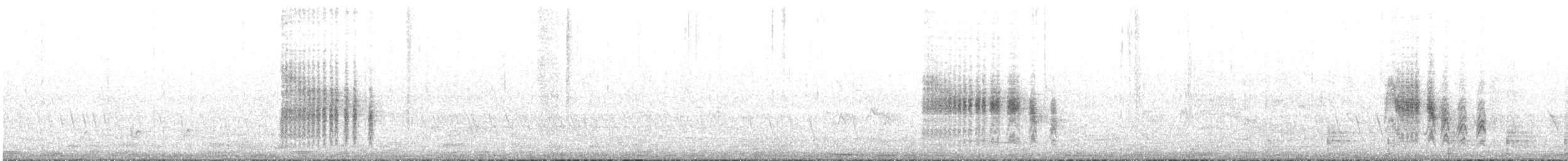 Common Iora - ML643679354