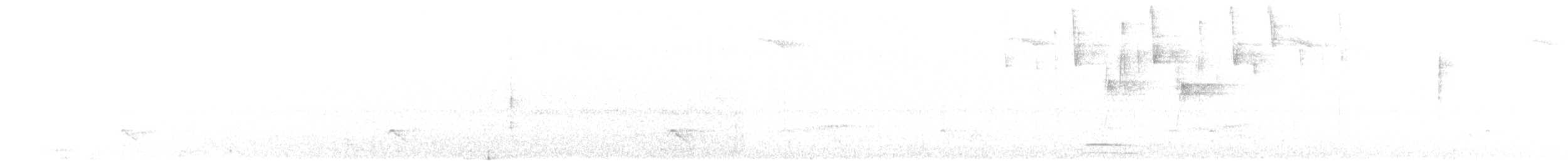 Halcón Montés Agavilanado - ML643679658