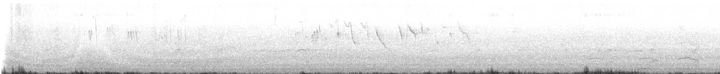 Vaux's Swift - ML643679679