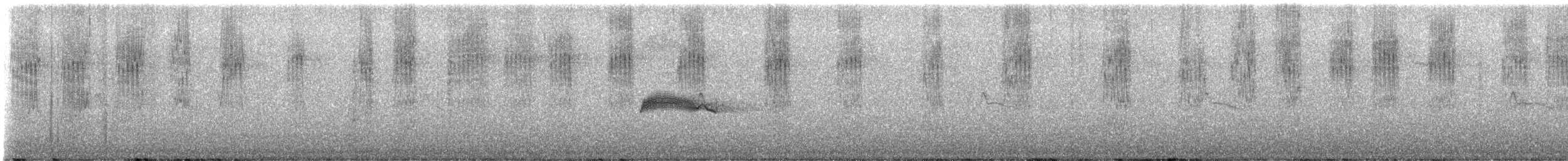 Western Wood-Pewee - ML643680395