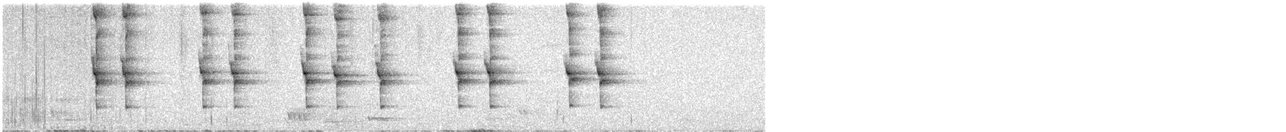North Island Saddleback - ML643682203