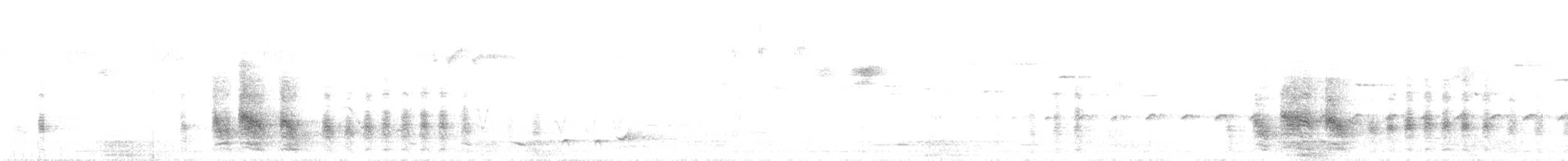 šírozobec východní - ML643683358