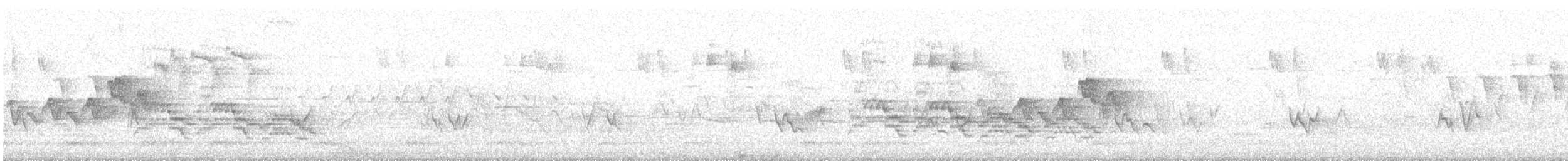 Magnolia Warbler - ML643683589