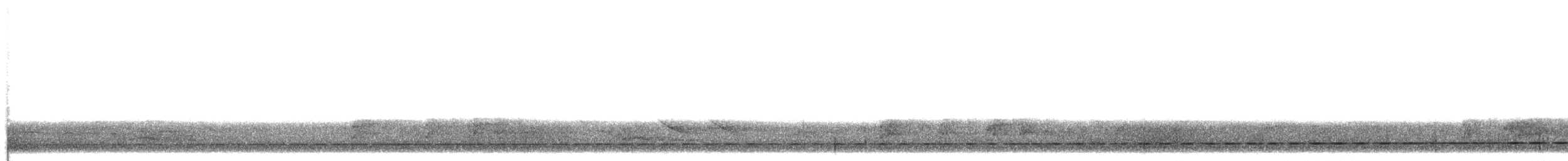 Such's Antthrush - ML643686081