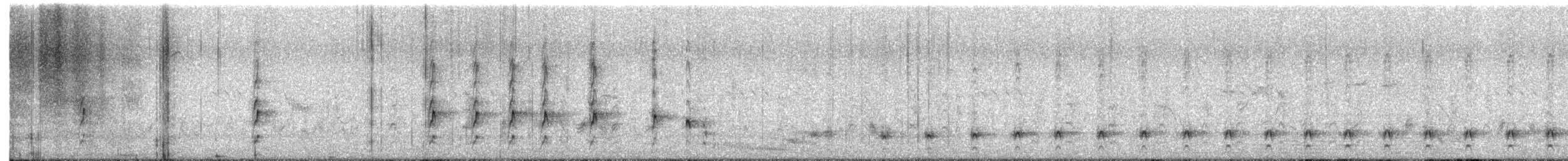 Sirkeer Malkoha - ML643686646