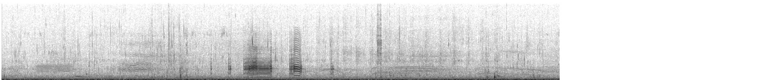 Pied Cormorant - ML643687679