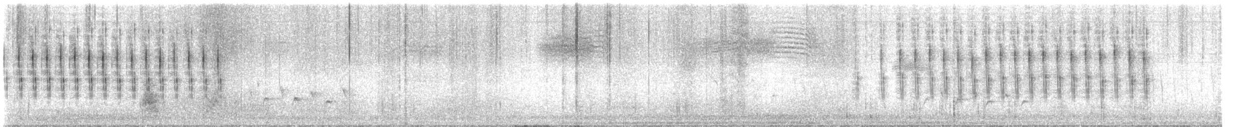 Black-chested Prinia - ML643687717