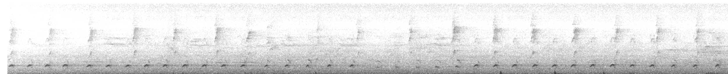 Pale-vented Bush-hen - ML643687725