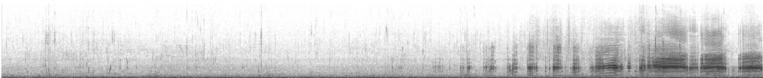 Cormoran varié - ML643687799