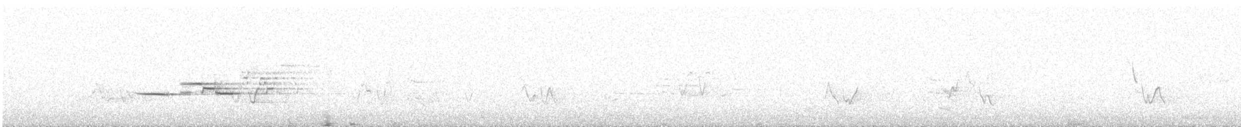 Hermit Thrush - ML643688303