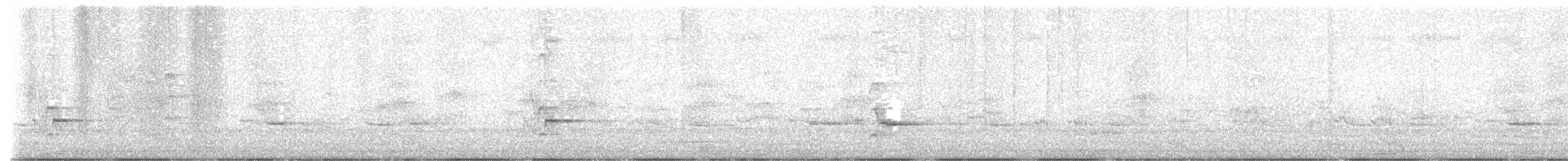 Australasian Figbird - ML643688312