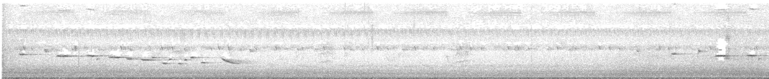 Northern Fantail - ML643688332