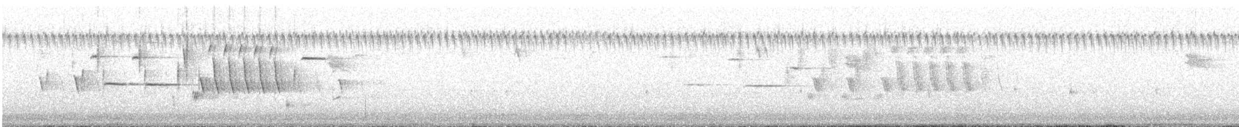 Song Sparrow - ML643689240