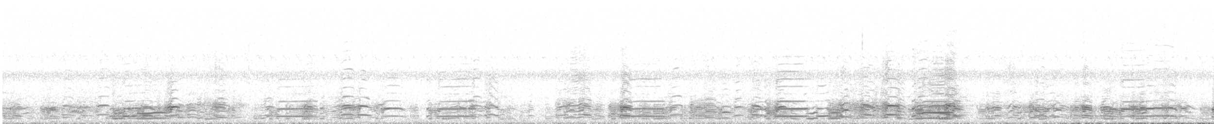 berneška velká - ML643689918