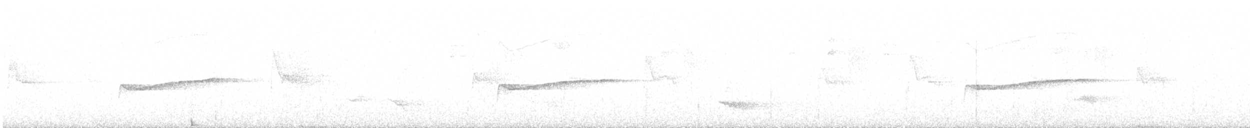 Eastern Wood-Pewee - ML643690356