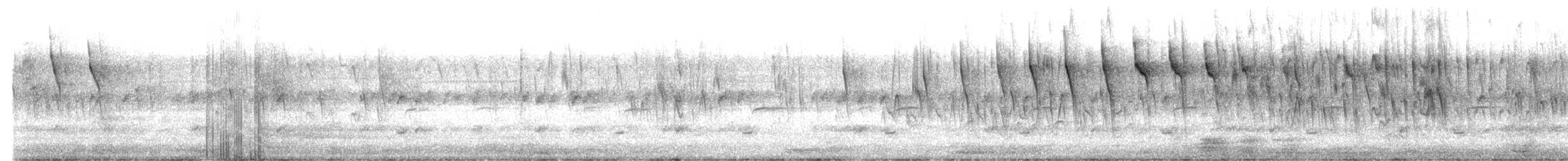 Stutzschwanzsegler - ML643690417