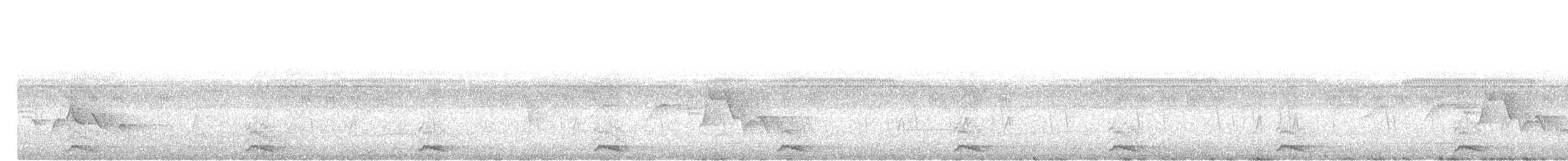 sundaisfugl - ML643691751
