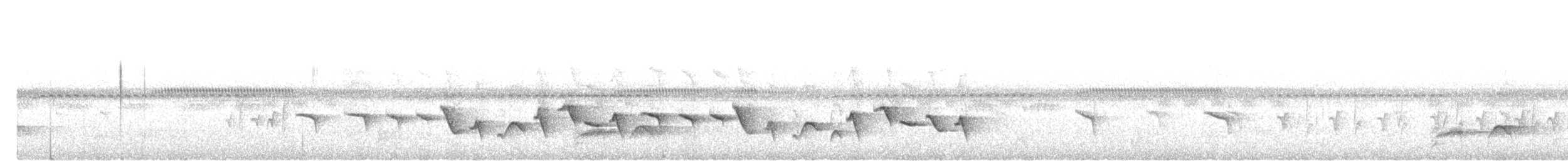 Ornate Pitta - ML643691755