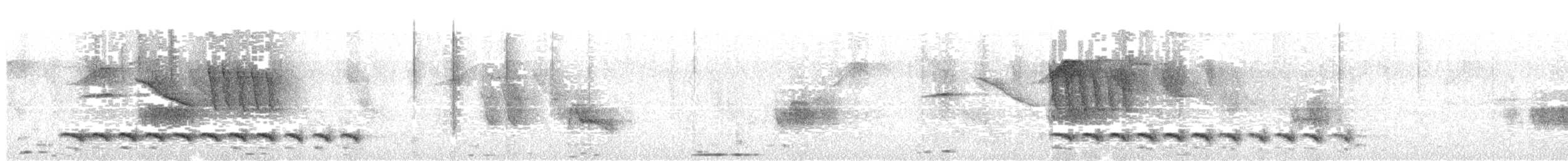Variable Antshrike - ML643691826
